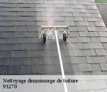 Nettoyage demoussage de toiture