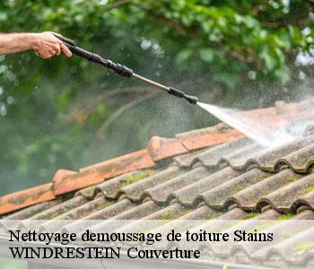 Nettoyage demoussage de toiture