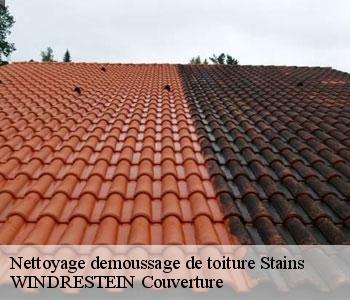 Nettoyage demoussage de toiture