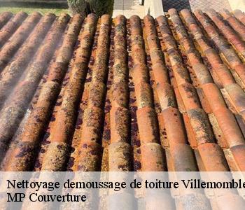 Nettoyage demoussage de toiture 93250