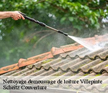 Nettoyage demoussage de toiture
