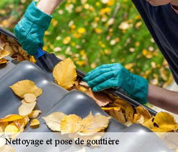 Nettoyage et pose de gouttière  93300