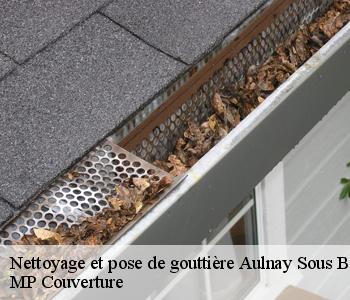 Nettoyage et pose de gouttière  93600