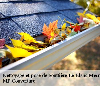 Nettoyage et pose de gouttière