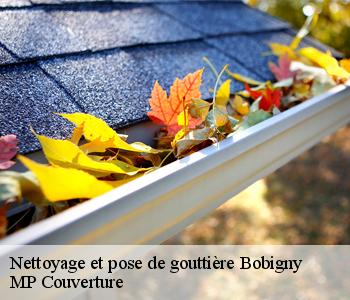 Nettoyage et pose de gouttière