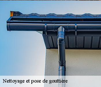 Nettoyage et pose de gouttière