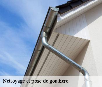 Nettoyage et pose de gouttière