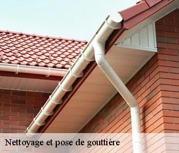 Nettoyage et pose de gouttière