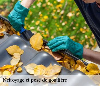 Nettoyage et pose de gouttière 93340