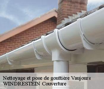 Nettoyage et pose de gouttière