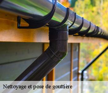 Nettoyage et pose de gouttière