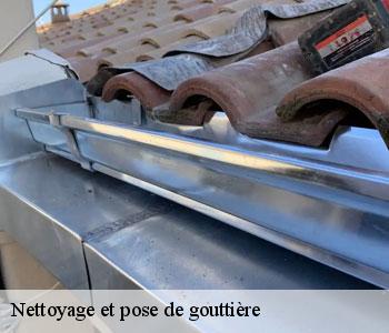 Nettoyage et pose de gouttière