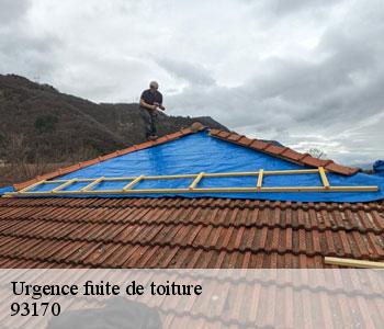 Urgence fuite de toiture