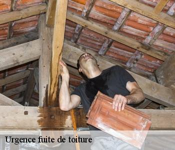 Urgence fuite de toiture  93350