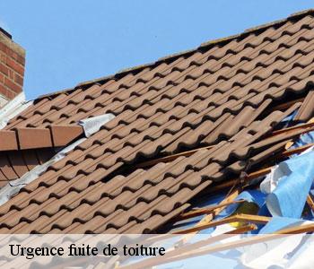 Urgence fuite de toiture
