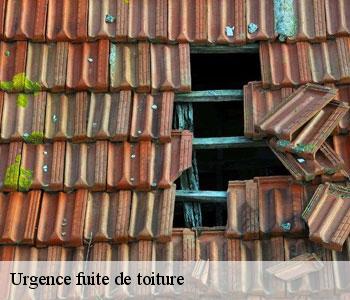 Urgence fuite de toiture