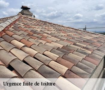 Urgence fuite de toiture