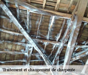 Traitement et changement de charpente  93300