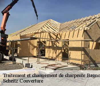 Traitement et changement de charpente