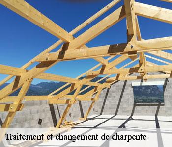 Traitement et changement de charpente