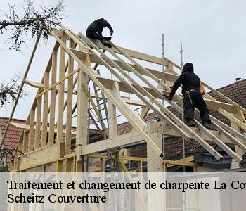 Traitement et changement de charpente