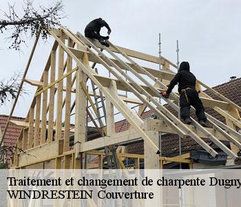 Traitement et changement de charpente