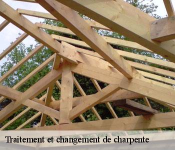Traitement et changement de charpente