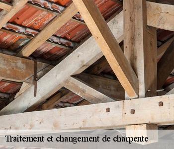 Traitement et changement de charpente