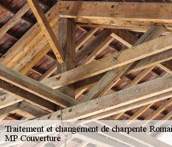 Traitement et changement de charpente