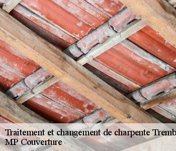 Traitement et changement de charpente  93290