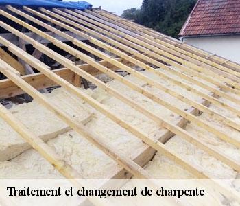 Traitement et changement de charpente