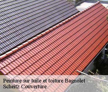 Peinture sur tuile et toiture