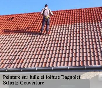 Peinture sur tuile et toiture