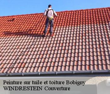 Peinture sur tuile et toiture