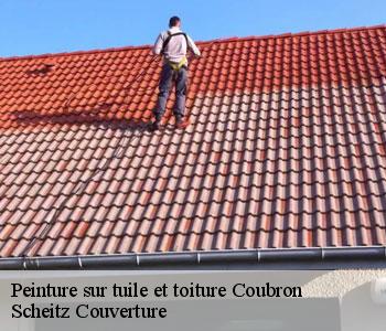 Peinture sur tuile et toiture