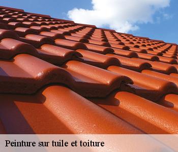 Peinture sur tuile et toiture