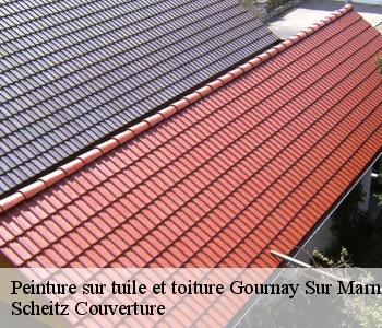 Peinture sur tuile et toiture