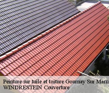 Peinture sur tuile et toiture