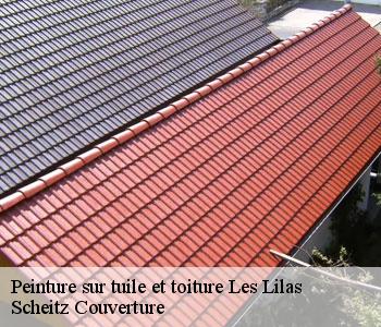 Peinture sur tuile et toiture