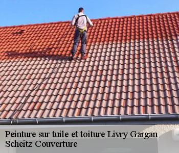 Peinture sur tuile et toiture