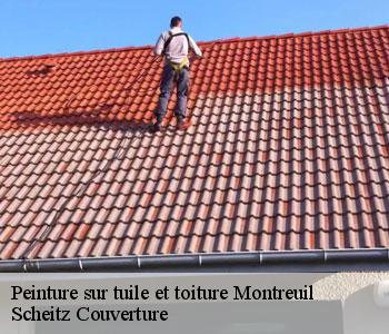 Peinture sur tuile et toiture