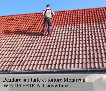 Peinture sur tuile et toiture
