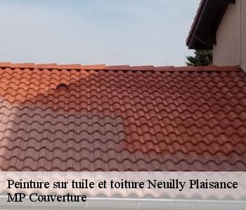 Peinture sur tuile et toiture