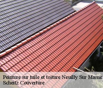 Peinture sur tuile et toiture