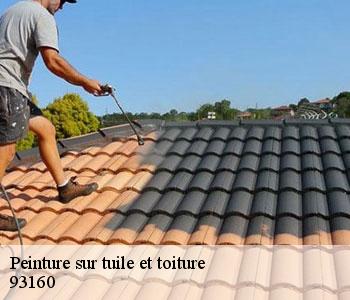 Peinture sur tuile et toiture