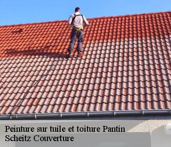 Peinture sur tuile et toiture