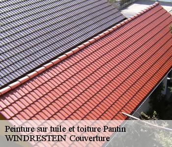 Peinture sur tuile et toiture