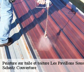 Peinture sur tuile et toiture
