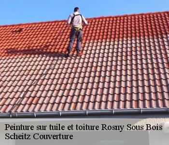 Peinture sur tuile et toiture