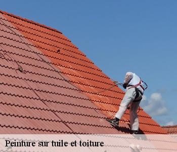 Peinture sur tuile et toiture